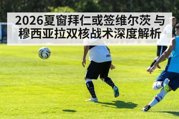 2026夏窗拜仁或签维尔茨 与穆西亚拉双核战术深度解析
