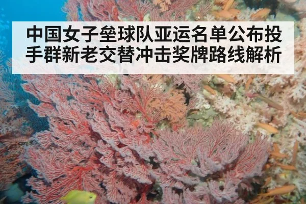 中国女子垒球队亚运名单公布投手群新老交替冲击奖牌路线解析