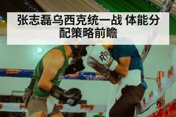 张志磊乌西克统一战 体能分配策略前瞻