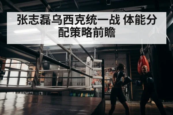 boxer training
