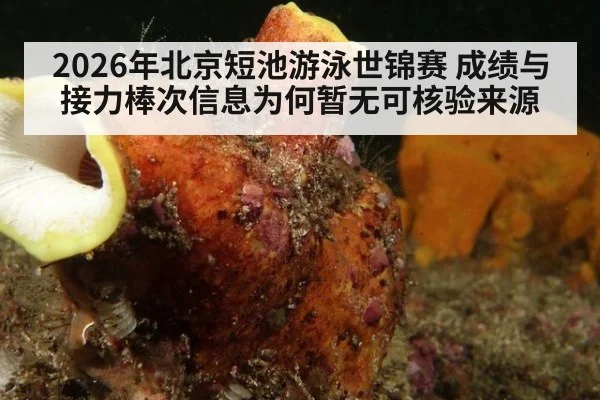 2026年北京短池游泳世锦赛 成绩与接力棒次信息为何暂无可核验来源